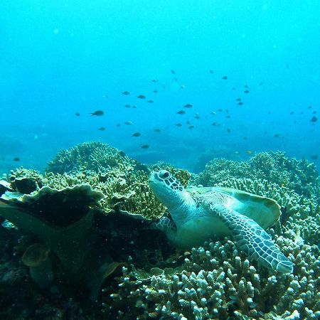 4 Sisters Divers Bunaken Εξωτερικό φωτογραφία