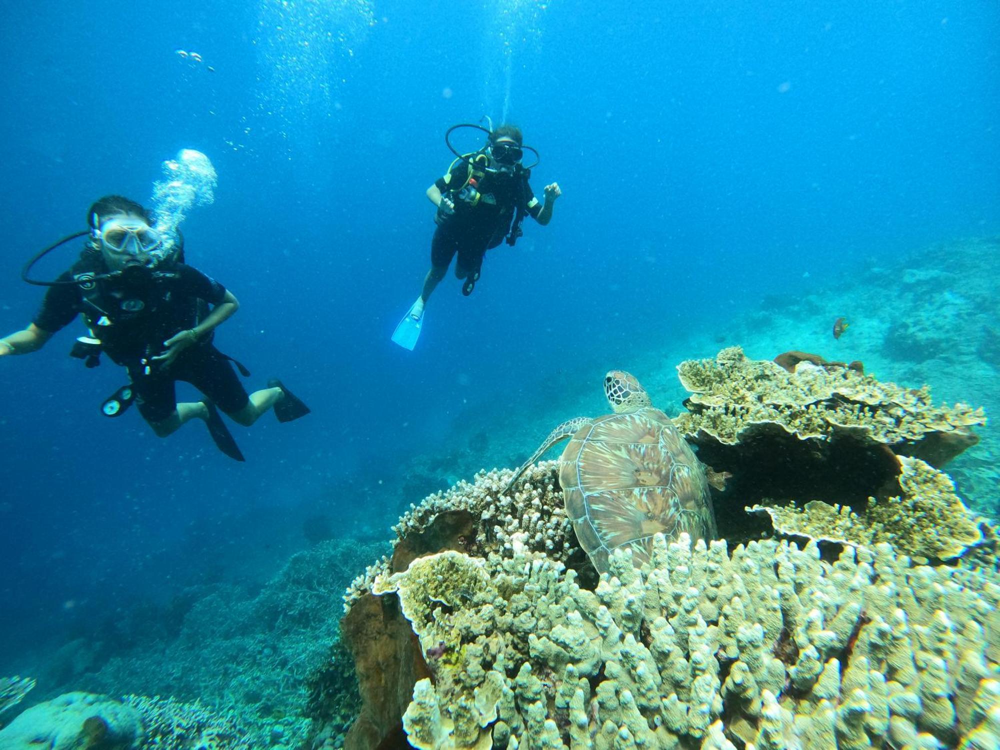 4 Sisters Divers Bunaken Εξωτερικό φωτογραφία
