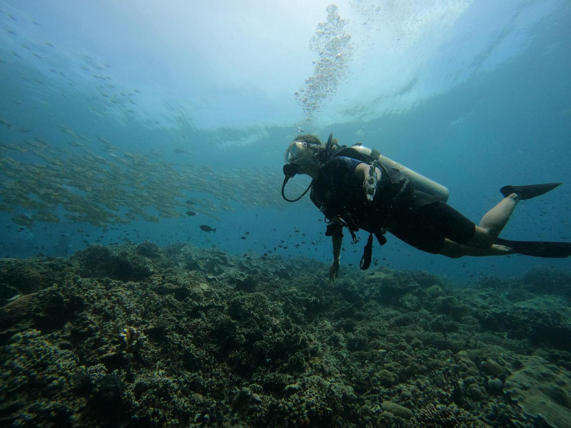 4 Sisters Divers Bunaken Εξωτερικό φωτογραφία