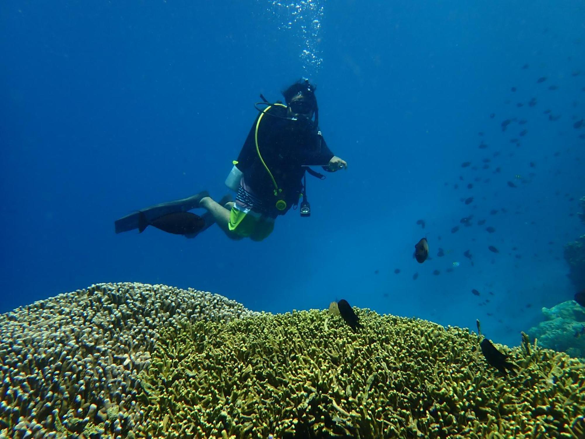 4 Sisters Divers Bunaken Εξωτερικό φωτογραφία